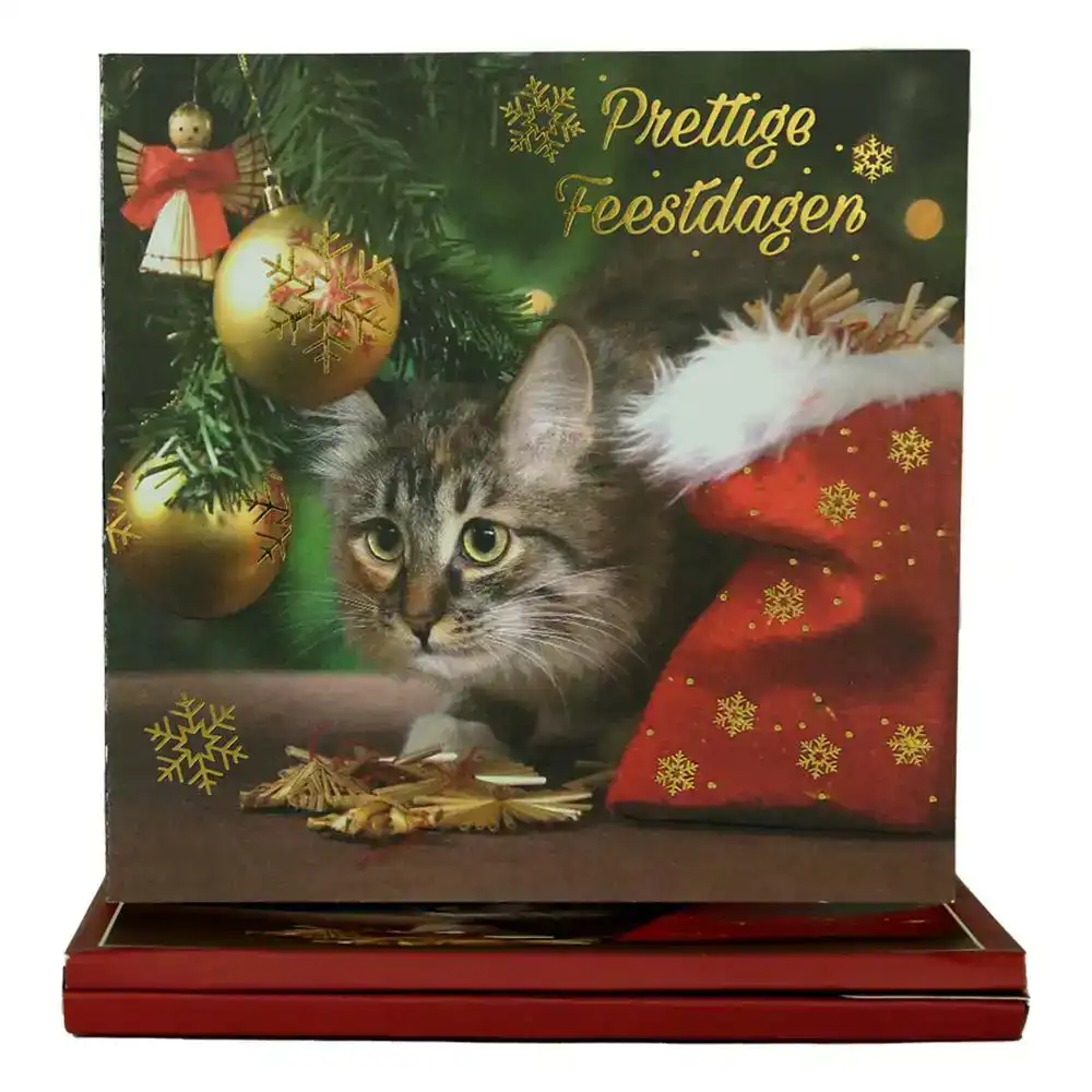 World Of Craft Set Van 8 Kerstkaarten En Enveloppen Met Nederlandse Teksten