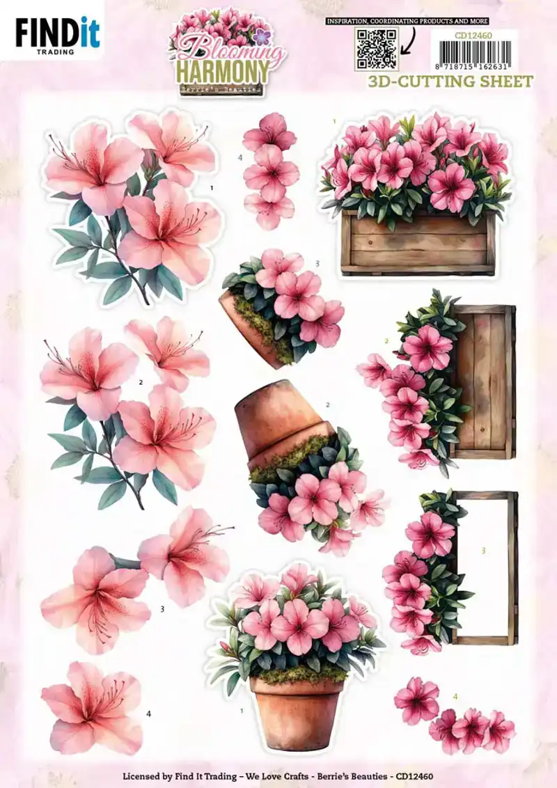 3D Knipvelset Berries Beauties Blooming Harmony Blooming Pots