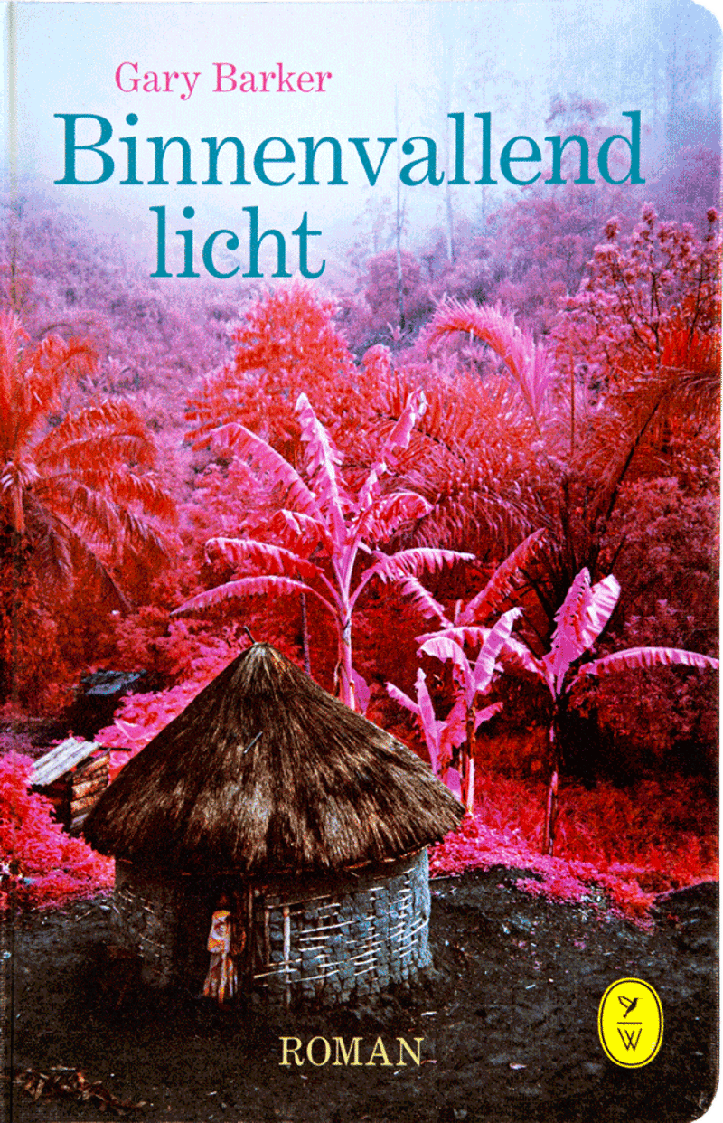 Binnenvallend licht