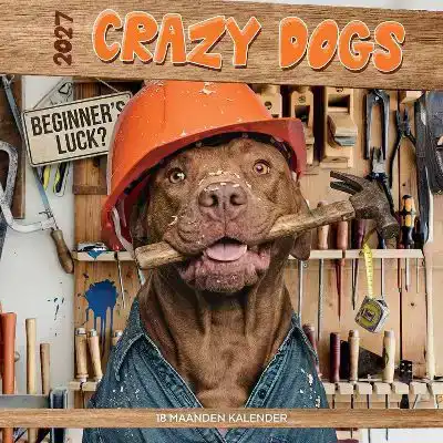 Kalender 2027: funniest dogs