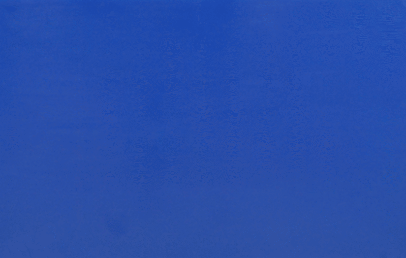 Double Do Blauwe Plaat