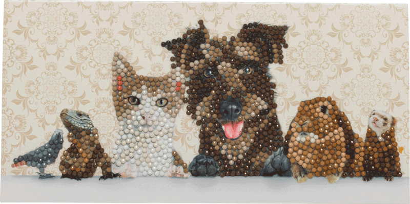 Crystal Card kit C6 dieren familie 11x22cm