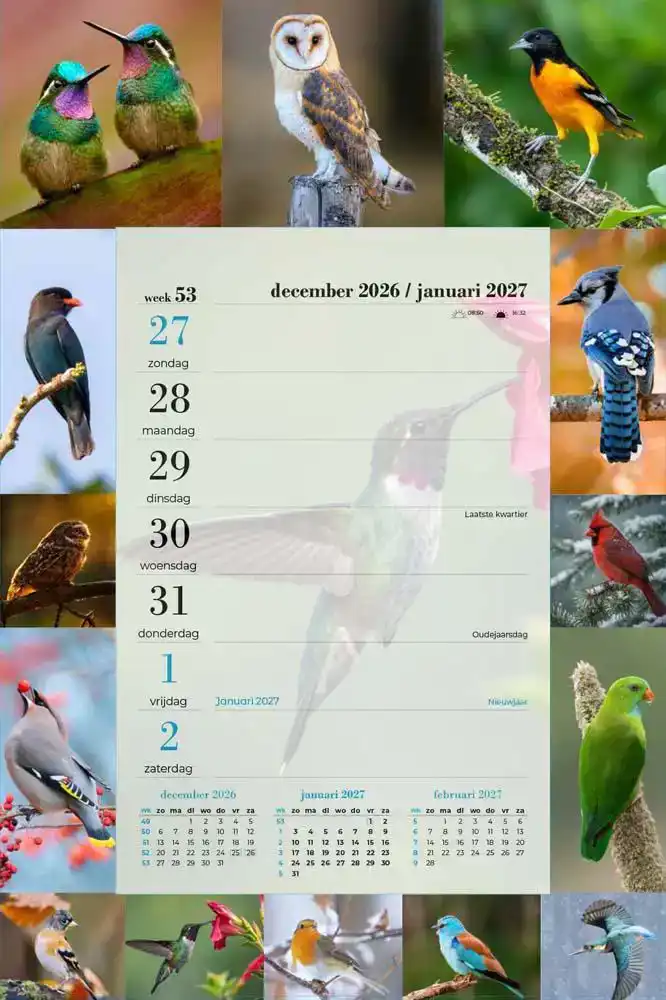 Weekblok vogels 2027