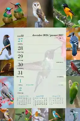Weekblok vogels  2027
