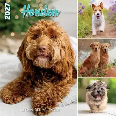 Kalender 2027: honden