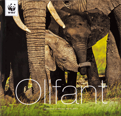 Olifant WNF