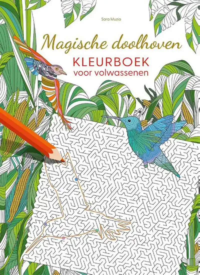 Magische doolhoven - Kleurboek voor volwassenen