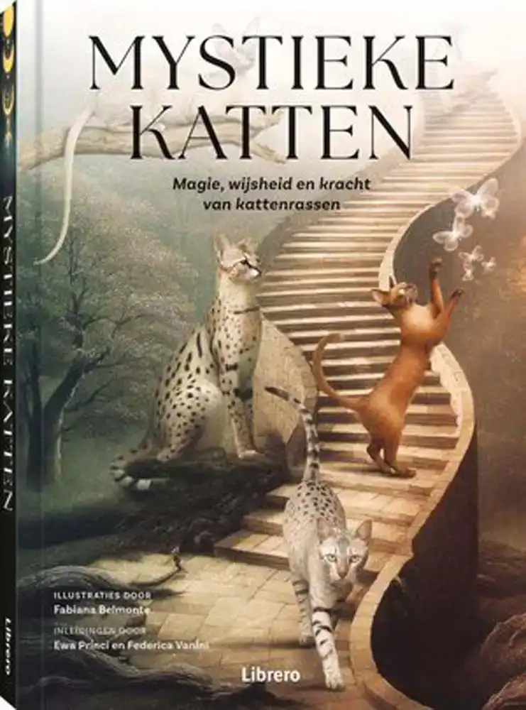 Mystieke Katten