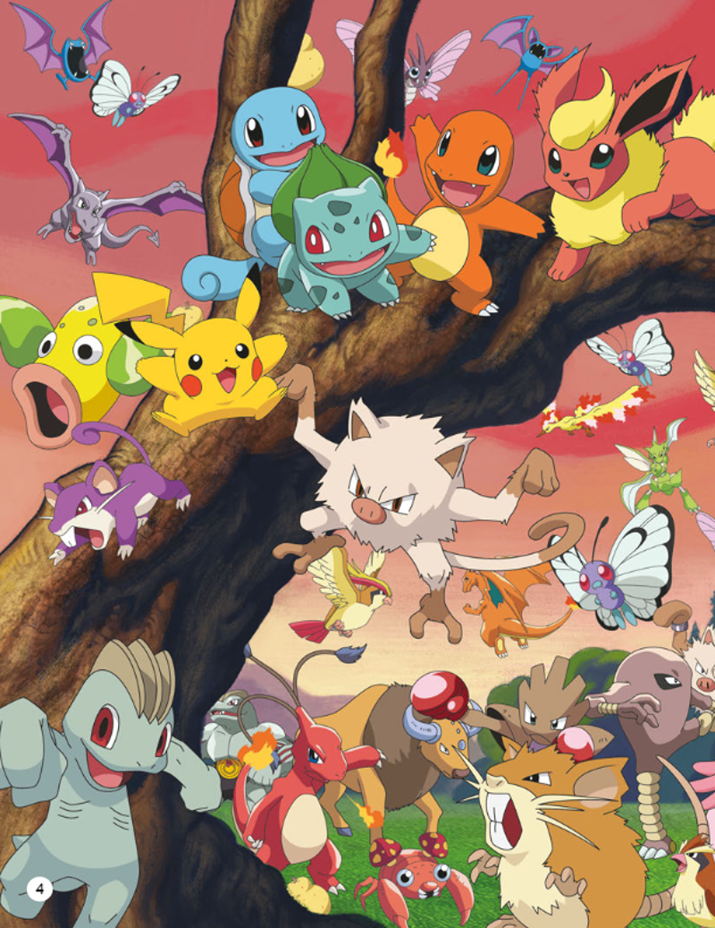 Pokemon zoekboek