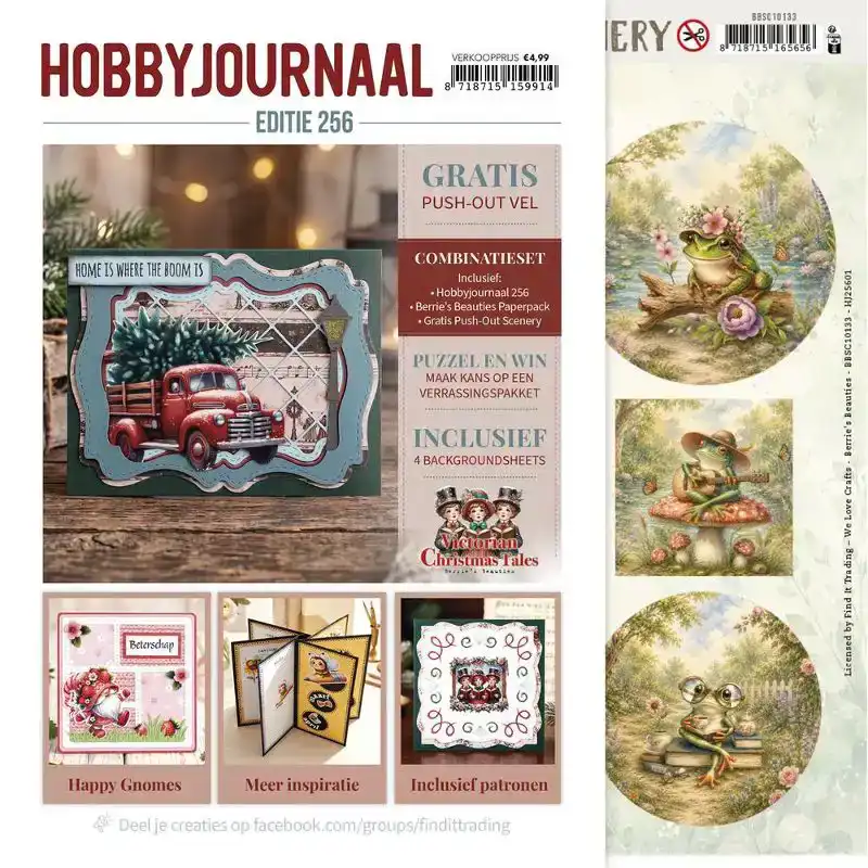 Hobbyjournaal 256