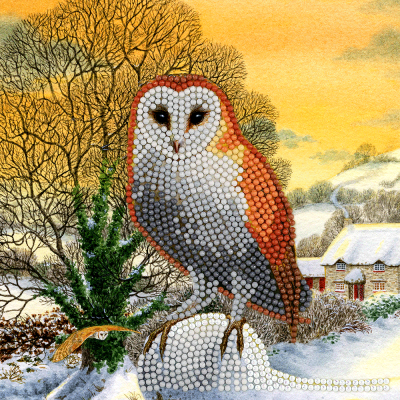 Crystal card kit XM60 winter owl partial painting