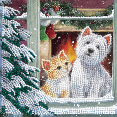 Crystal Card Kit XM138 By The Window