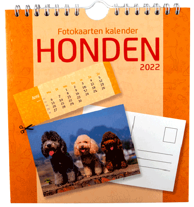 Postkaarten kalender 2022 Honden