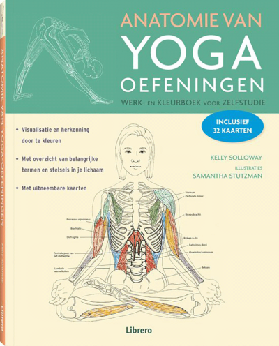 Anatomie van Yoga oefeningen werk en kleurboek voor zelfstudie