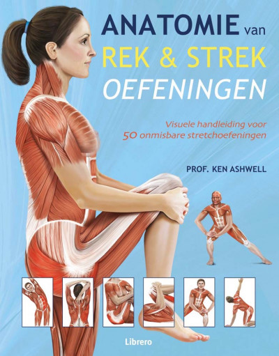 Anatomie van Rek- en strekoefeningen