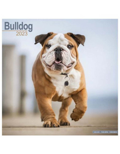 Kalender 2023 Bulldogs