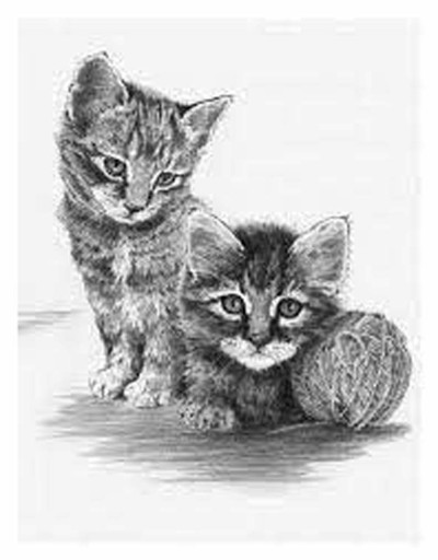 Sketching made easy Kittens