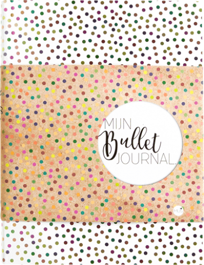 Mijn Bullet Journal Stip