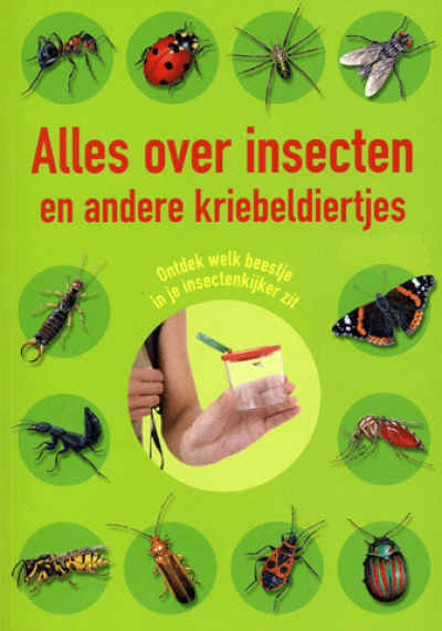 Alles Over Insecten En Andere Kriebeldieren