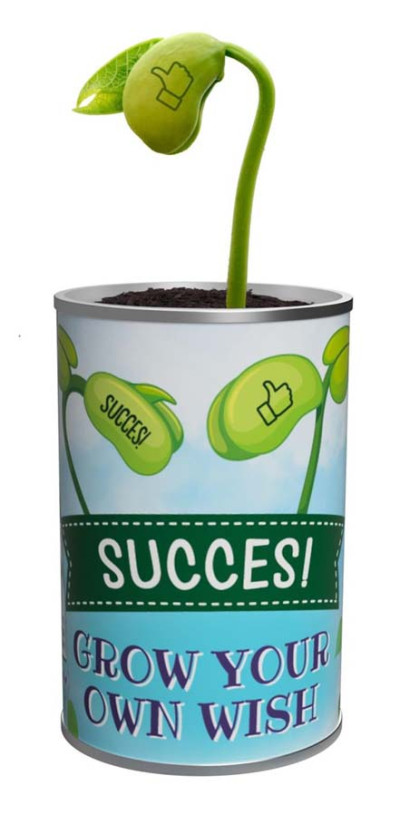 Grow your own wish - succes