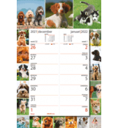 Omlegweek kalender 2022 Lovely Dogs