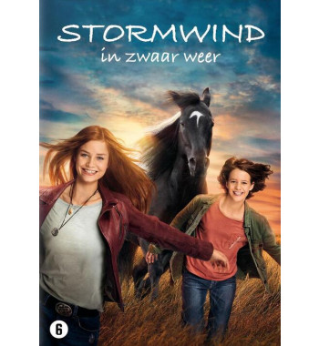 Stormwind 5 - In Zwaar Weer - DVD